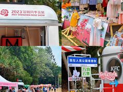 -人民公园(罗湖区)