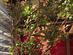 -星·South Beauty·俏江南(国贸店)