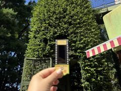 -三鹰之森吉卜力美术馆