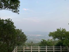 -广州市帽峰山景区