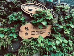 -东沙渔村