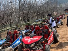 -南山特攻真人CS户外露营轰趴拓展基地