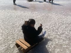 -绿野森林乐园冰雪季