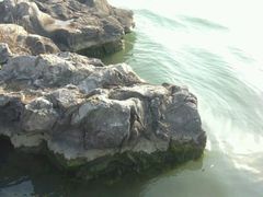 -苏州吴中太湖旅游区