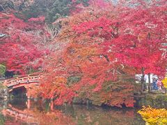 -醍醐寺