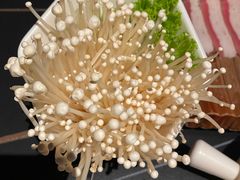 -额尔敦传统涮(公园西路店)