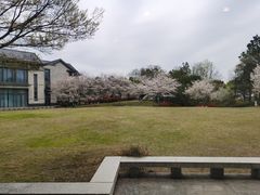 -苏州太湖国际会议中心