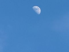 -犟一碗双椒鸡面(得意世界店)