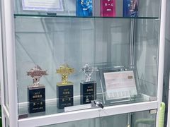 -青奢宠物·青奢猫舍