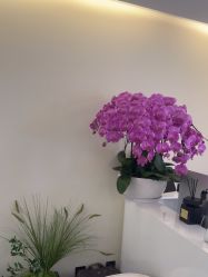 -海涛医疗美容·面部抗衰·注射美鼻