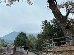 -梁野山景区