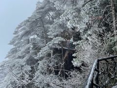 -三清山希尔顿度假酒店