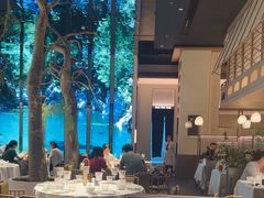 -桂满陇·海市蜃楼·黑金(国金店)