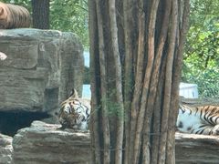 -秦皇岛野生动物园