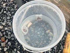 -DGE季风钓虾营地·团建·聚会