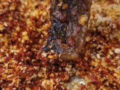 鳝鱼-晓靖轩烧烤(沙河风情店)