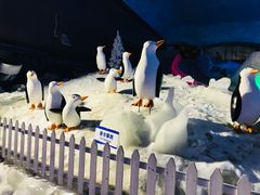 -世界之窗阿尔卑斯冰雪世界