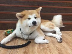 -YCHL Studios健身工作室(市二宫店)