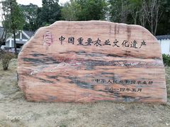 -羊楼洞