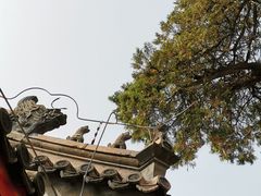 -北京上方山国家森林公园
