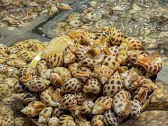-天虹购物中心(深圳龙华店)