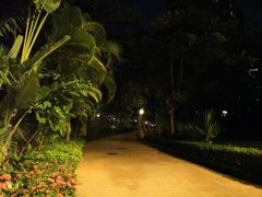 -三亚湾海居铂尔曼度假酒店