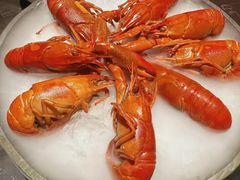 精品冰镇蓝龙虾-红盔甲·小龙虾(人民广场店)