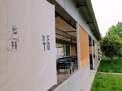 -午后庭院
