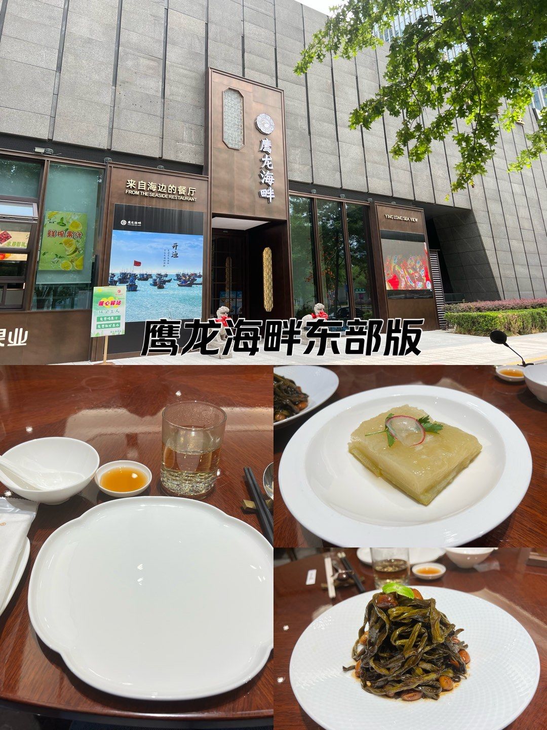 打卡鹰龙海畔东部版