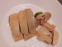 -成事园(真北店)