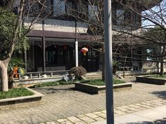 -高子水居