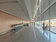-青岛胶东国际机场