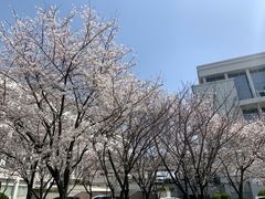 -上海大学宝山-图书馆