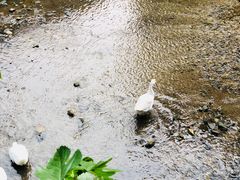 -北京水岸山吧度假村(雁栖镇店)