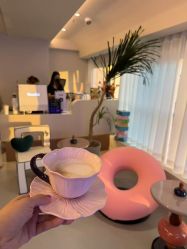 -海菲秀·飞顿牛奶光·LDM官方授权中心美轮美浣瓷感美肌