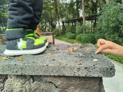 -王借岗森林公园