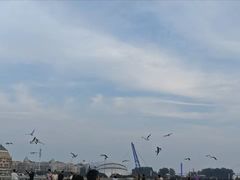 -星海广场