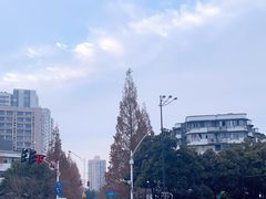 -巴子烤鸭