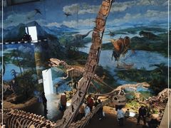 -自贡恐龙博物馆