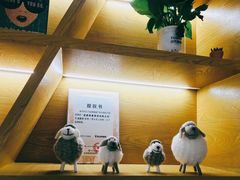 -鲸渝眼镜·浅目视光(春熙路店)