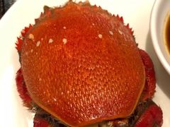 -深圳四季酒店·馥自助餐厅