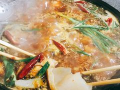 -石灰市毛记烧鸡公(解放碑店)