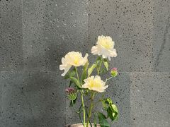 -帝京日语(春熙路旗舰校区)