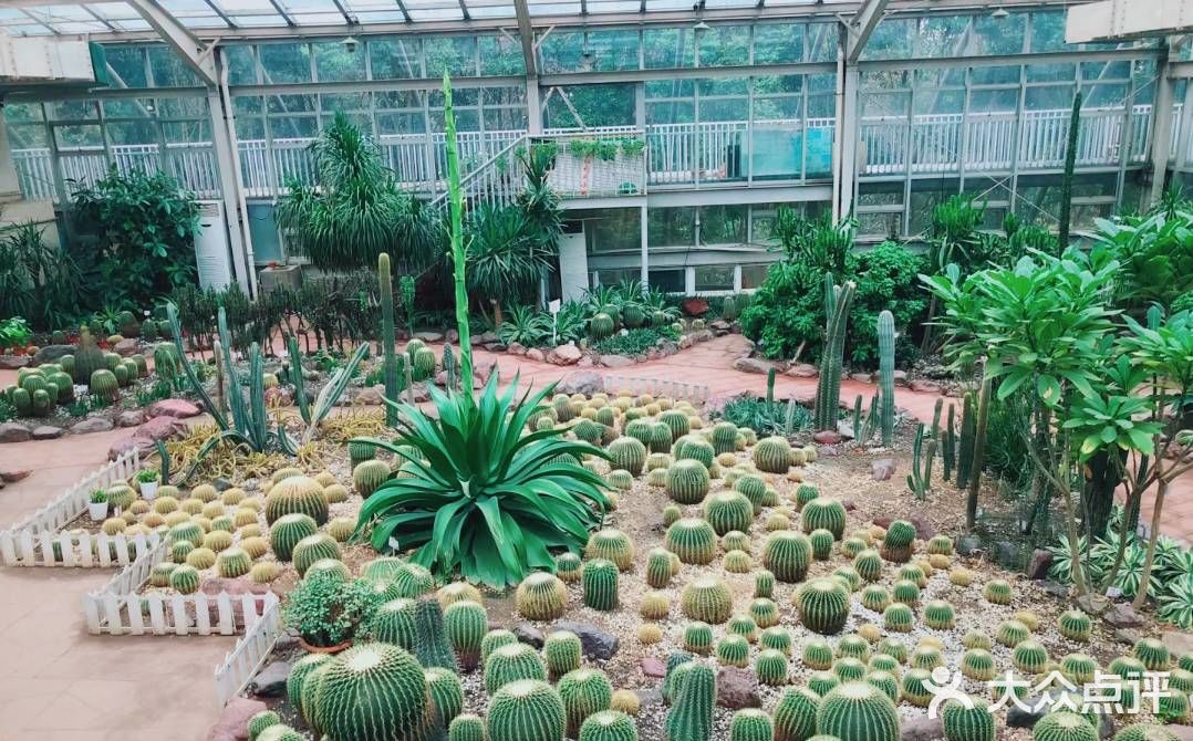 攻略:带你打卡成都植物园。