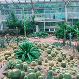 攻略:带你打卡成都植物园。