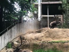 -圣地亚哥动物园
