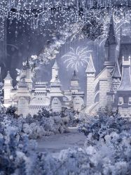 -红丝高端婚礼中心(旗舰店)