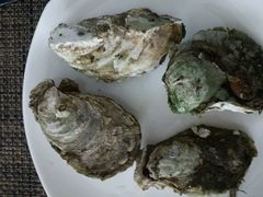 -鼓浪湾酒店自助餐