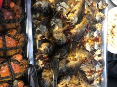 -龙小海荆沙鸽子店(瑞安街店)