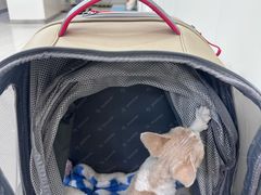 -美联众合动物医院·24h京西诊疗中心